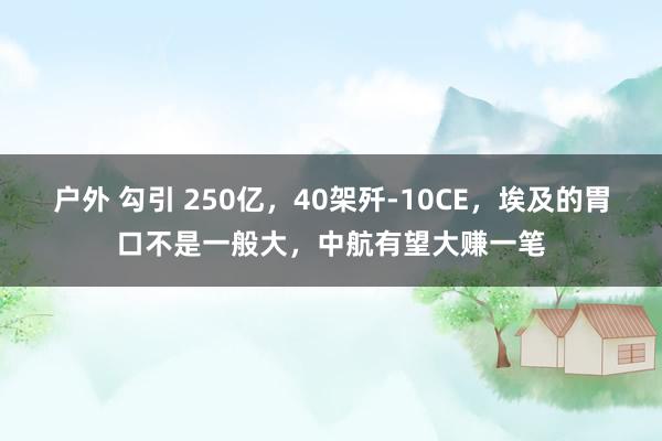 户外 勾引 250亿,40架歼-10CE,埃及的胃口不是一般大,中航有望大赚一笔