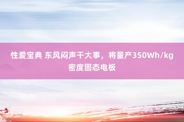 性爱宝典 东风闷声干大事，将量产350Wh/kg密度固态电板