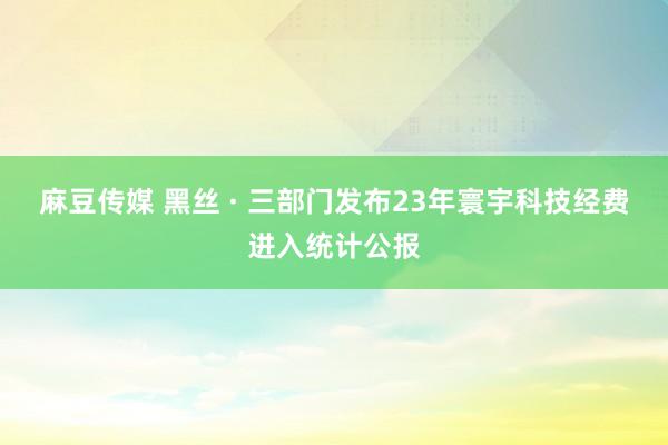 麻豆传媒 黑丝 · 三部门发布23年寰宇科技经费进入统计公报