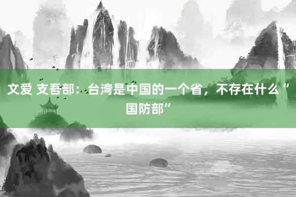 文爱 支吾部：台湾是中国的一个省，不存在什么“国防部”