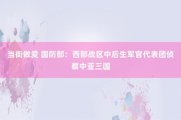 当街做爱 国防部：西部战区中后生军官代表团侦察中亚三国