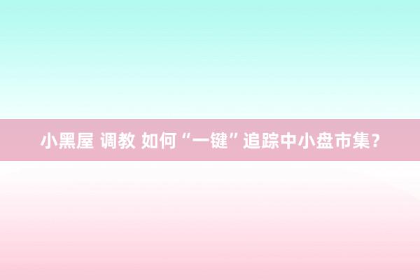 小黑屋 调教 如何“一键”追踪中小盘市集？