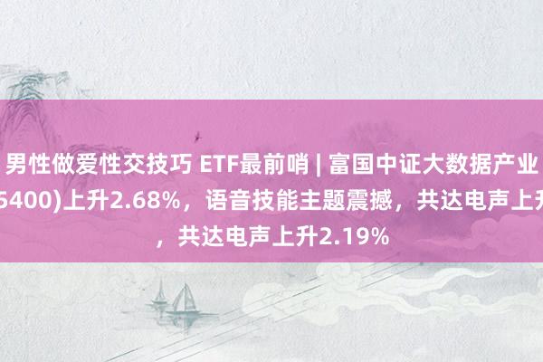 男性做爱性交技巧 ETF最前哨 | 富国中证大数据产业ETF(515400)上升2.68%，语音技能主题震撼，共达电声上升2.19%
