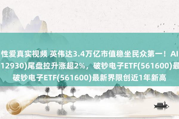 性爱真实视频 英伟达3.4万亿市值稳坐民众第一！AI东谈主工智能ETF(512930)尾盘拉升涨超2%，破钞电子ETF(561600)最新界限创近1年新高
