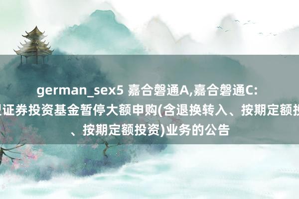german_sex5 嘉合磐通A,嘉合磐通C: 嘉合磐通债券型证券投资基金暂停大额申购(含退换转入、按期定额投资)业务的公告