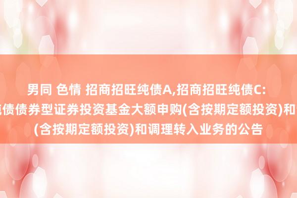 男同 色情 招商招旺纯债A,招商招旺纯债C: 对于诊疗招商招旺纯债债券型证券投资基金大额申购(含按期定额投资)和调理转入业务的公告