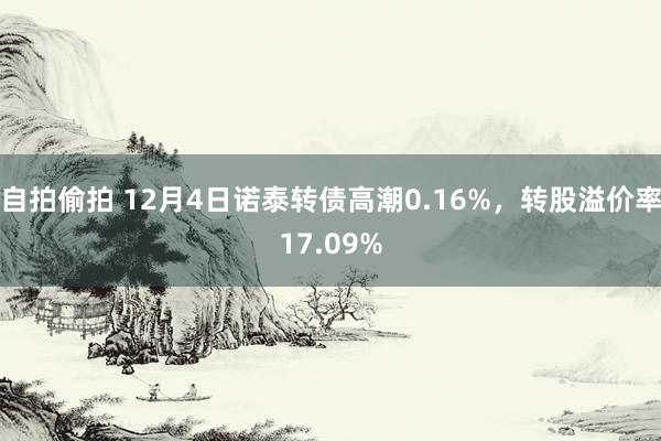 自拍偷拍 12月4日诺泰转债高潮0.16%,转股溢价率17.09%