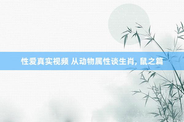 性爱真实视频 从动物属性谈生肖， 鼠之篇
