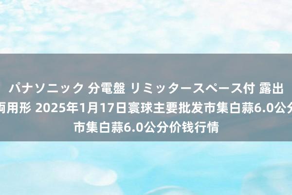 パナソニック 分電盤 リミッタースペース付 露出・半埋込両用形 2025年1月17日寰球主要批发市集白蒜6.0公分价钱行情