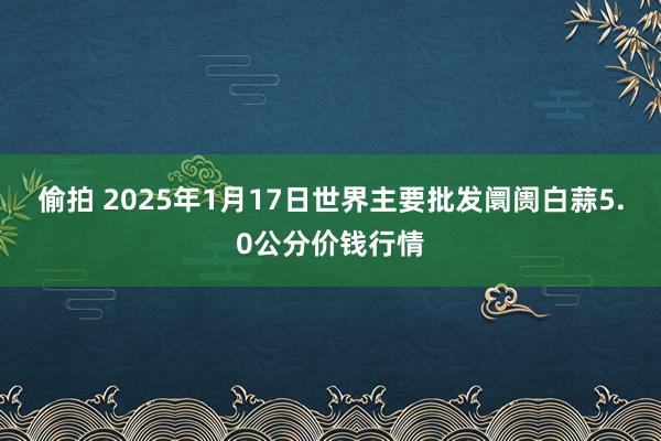 偷拍 2025年1月17日世界主要批发阛阓白蒜5.0公分价钱行情