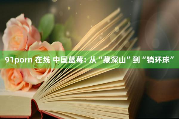 91porn 在线 中国蓝莓: 从“藏深山”到“销环球”