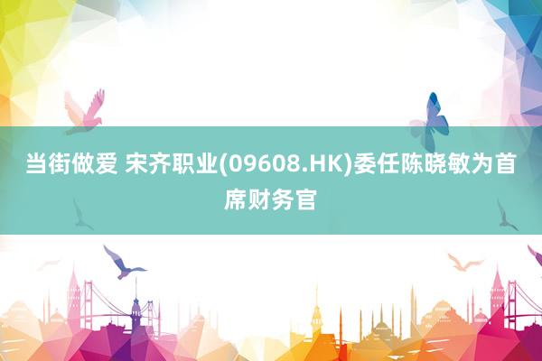 当街做爱 宋齐职业(09608.HK)委任陈晓敏为首席财务官