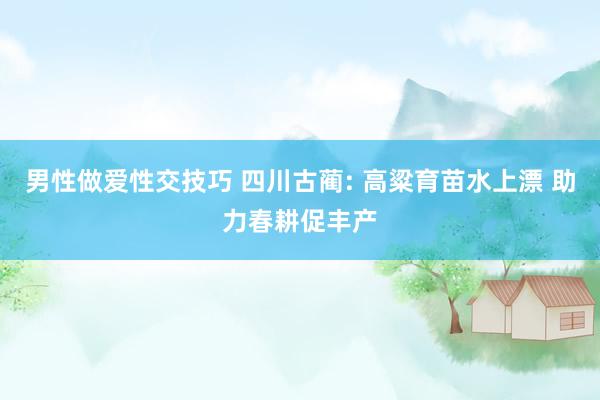 男性做爱性交技巧 四川古蔺: 高粱育苗水上漂 助力春耕促丰产