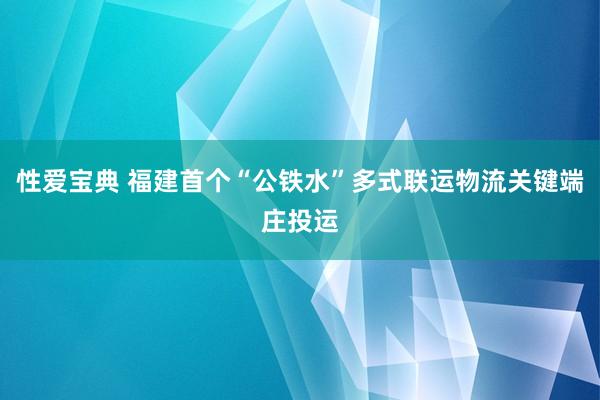 性爱宝典 福建首个“公铁水”多式联运物流关键端庄投运