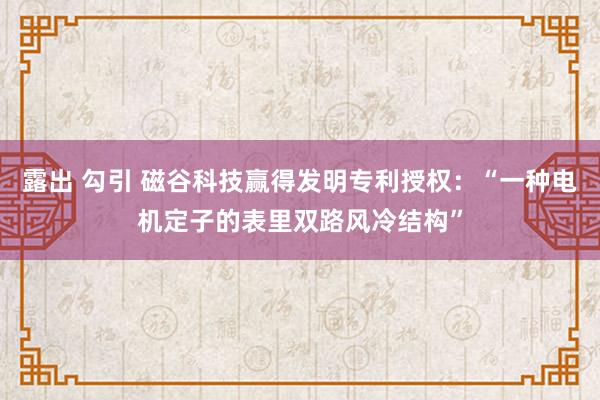 露出 勾引 磁谷科技赢得发明专利授权：“一种电机定子的表里双路风冷结构”