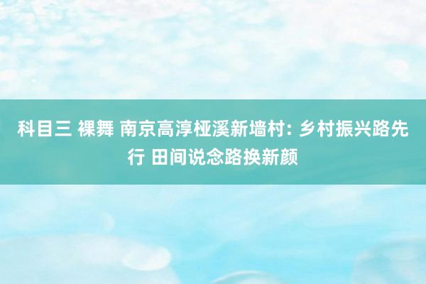 科目三 裸舞 南京高淳桠溪新墙村: 乡村振兴路先行 田间说念路换新颜