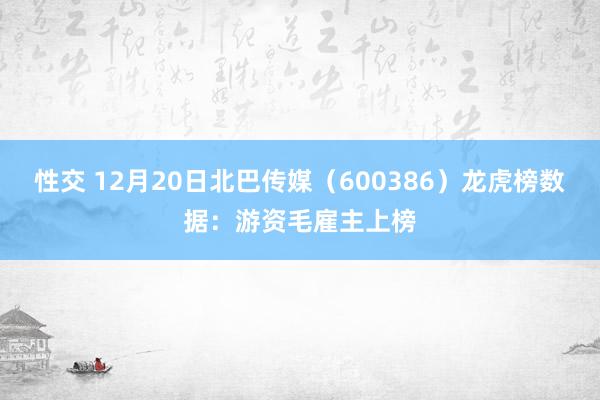 性交 12月20日北巴传媒（600386）龙虎榜数据：游资毛雇主上榜