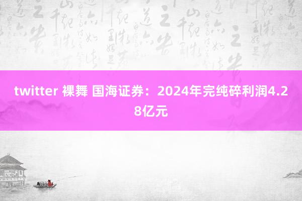 twitter 裸舞 国海证券：2024年完纯碎利润4.28亿元