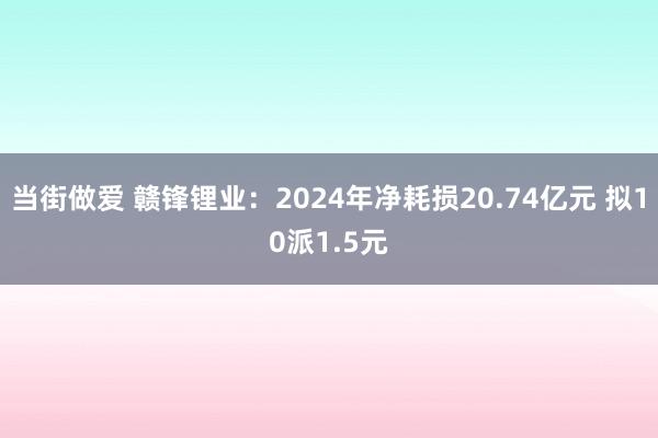 当街做爱 赣锋锂业：2024年净耗损20.74亿元 拟10派1.5元