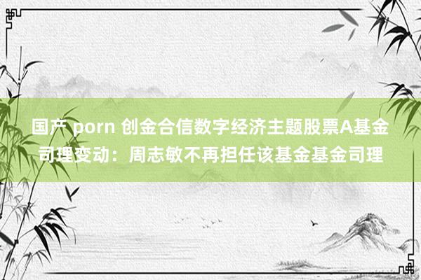 国产 porn 创金合信数字经济主题股票A基金司理变动：周志敏不再担任该基金基金司理