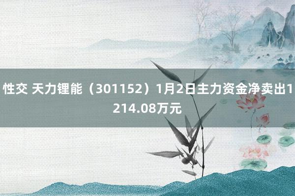 性交 天力锂能(301152)1月2日主力资金净卖出1214.08万元