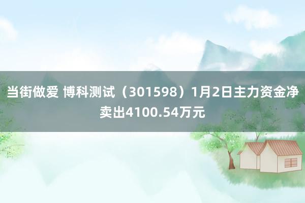 当街做爱 博科测试（301598）1月2日主力资金净卖出4100.54万元