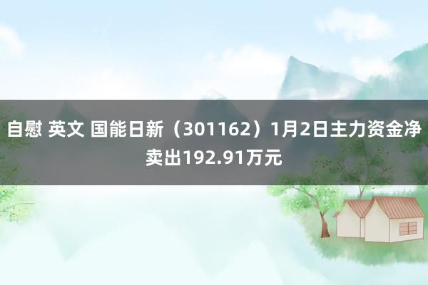 自慰 英文 国能日新（301162）1月2日主力资金净卖出192.91万元