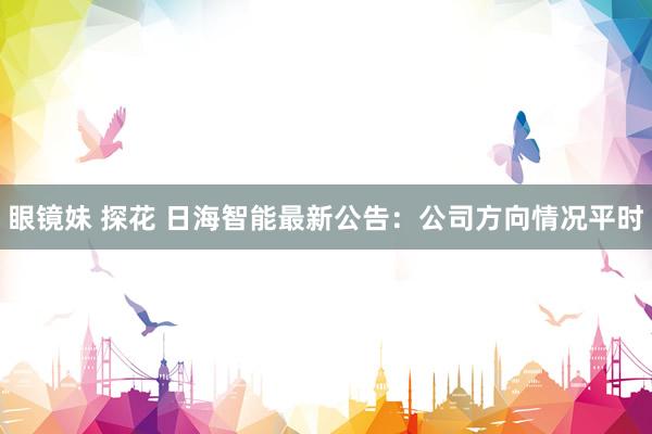 眼镜妹 探花 日海智能最新公告：公司方向情况平时