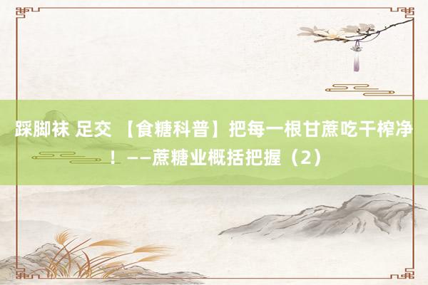 踩脚袜 足交 【食糖科普】把每一根甘蔗吃干榨净！——蔗糖业概括把握（2）