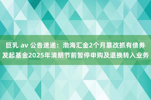 巨乳 av 公告速递：渤海汇金2个月篡改抓有债券发起基金2025年清朗节前暂停申购及退换转入业务