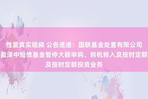 性爱真实视频 公告速递：国联基金处置有限公司对于国联盈泽中短债基金暂停大额申购、转机转入及按时定额投资业务
