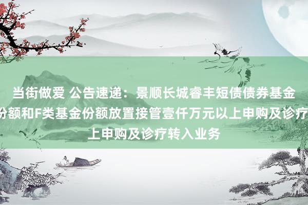 当街做爱 公告速递：景顺长城睿丰短债债券基金C类基金份额和F类基金份额放置接管壹仟万元以上申购及诊疗转入业务