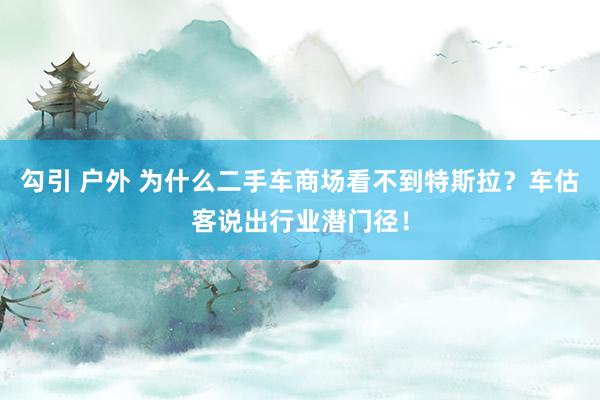 勾引 户外 为什么二手车商场看不到特斯拉？车估客说出行业潜门径！