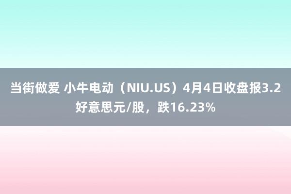 当街做爱 小牛电动（NIU.US）4月4日收盘报3.2好意思元/股，跌16.23%