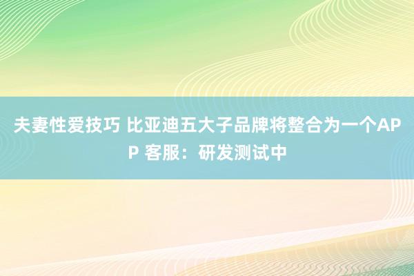 夫妻性爱技巧 比亚迪五大子品牌将整合为一个APP 客服：研发测试中
