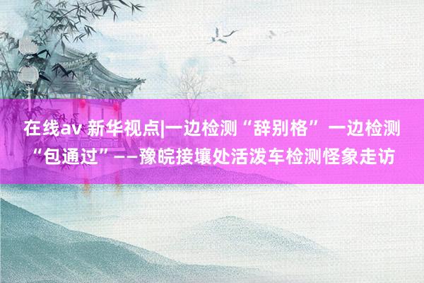 在线av 新华视点|一边检测“辞别格” 一边检测“包通过”——豫皖接壤处活泼车检测怪象走访