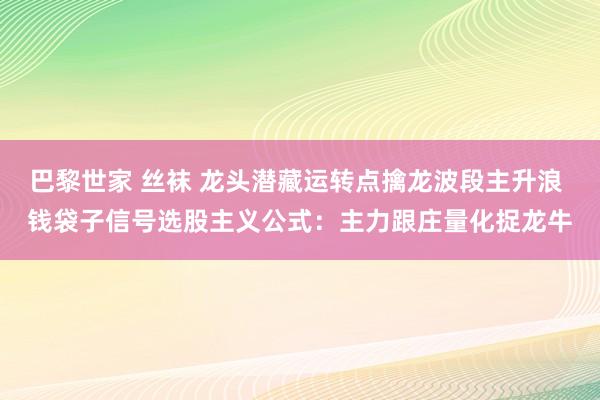 巴黎世家 丝袜 龙头潜藏运转点擒龙波段主升浪 钱袋子信号选股主义公式：主力跟庄量化捉龙牛
