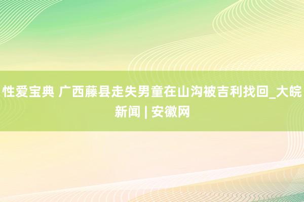 性爱宝典 广西藤县走失男童在山沟被吉利找回_大皖新闻 | 安徽网