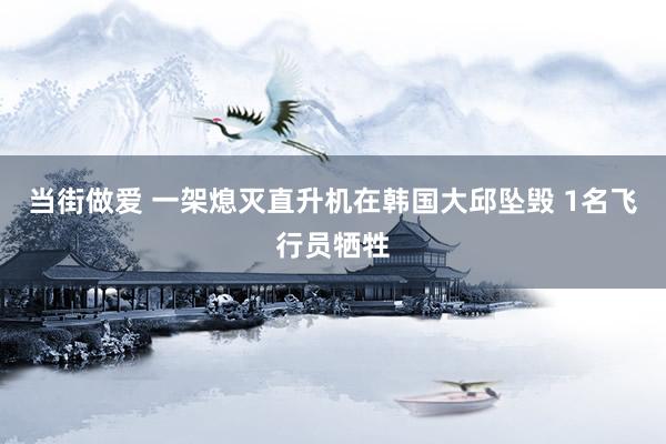 当街做爱 一架熄灭直升机在韩国大邱坠毁 1名飞行员牺牲