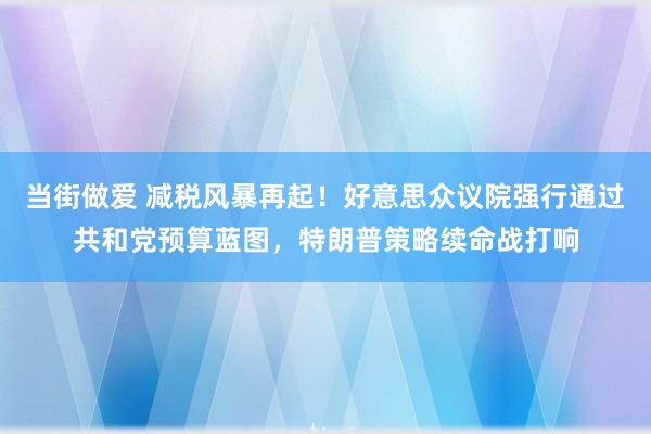 当街做爱 减税风暴再起！好意思众议院强行通过共和党预算蓝图，特朗普策略续命战打响