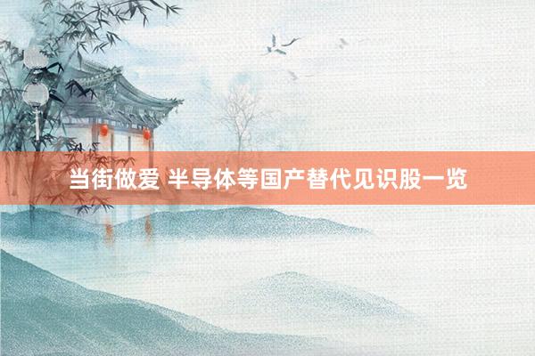 当街做爱 半导体等国产替代见识股一览