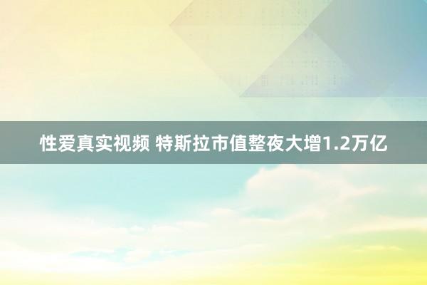 性爱真实视频 特斯拉市值整夜大增1.2万亿