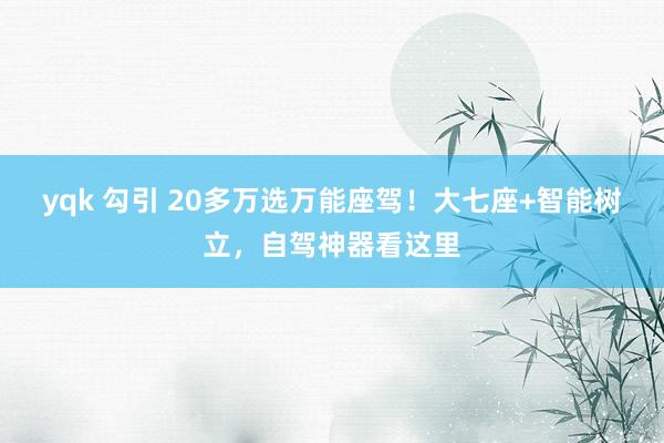 yqk 勾引 20多万选万能座驾！大七座+智能树立，自驾神器看这里