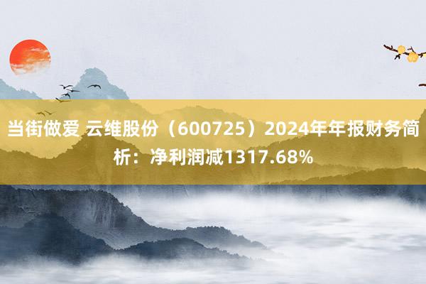 当街做爱 云维股份（600725）2024年年报财务简析：净利润减1317.68%