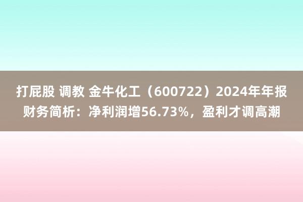 打屁股 调教 金牛化工（600722）2024年年报财务简析：净利润增56.73%，盈利才调高潮