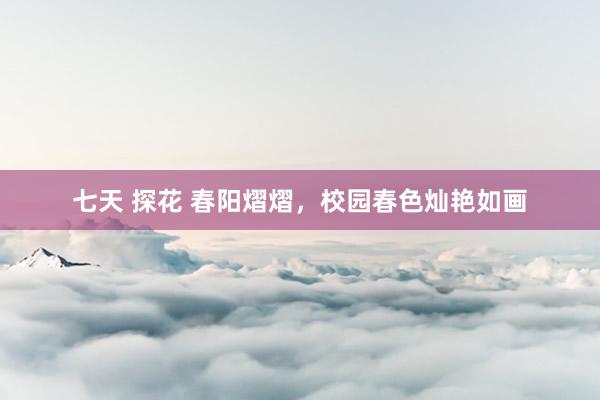 七天 探花 春阳熠熠，校园春色灿艳如画