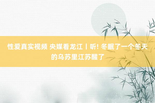 性爱真实视频 央媒看龙江丨听! 冬眠了一个冬天的乌苏里江苏醒了