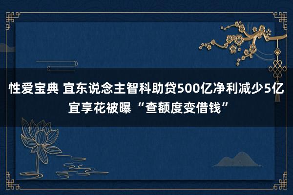 性爱宝典 宜东说念主智科助贷500亿净利减少5亿 宜享花被曝 “查额度变借钱”