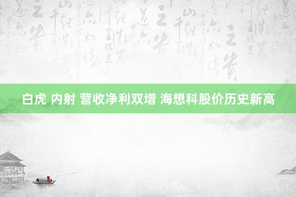 白虎 内射 营收净利双增 海想科股价历史新高