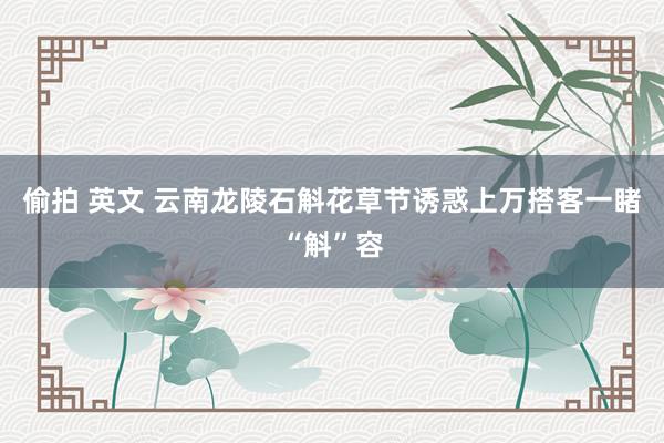 偷拍 英文 云南龙陵石斛花草节诱惑上万搭客一睹“斛”容